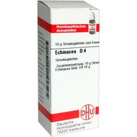 Echinacea (hab) D 4 null