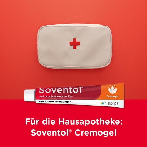 Soventol HydroCortisonACETAT 0.25% bei Hautentzündungen  50 g MEDICE Arzneimittel Pütter bei onfy.de kaufen 10714396