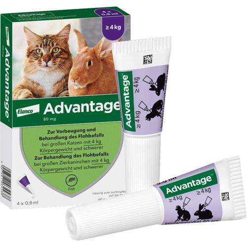 Advantage 80mg Katz+Zierka 4x0.8 ml Elanco Deutschland Gmbh bei onfy.de kaufen 09670104