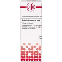 Grindelia Robusta D12 null