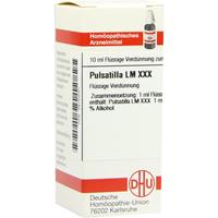 Pulsatilla Lm Xxx null