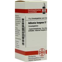 Adlumia Fungosa D12 null