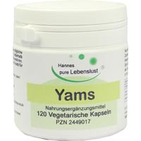 Yams Wurzel null