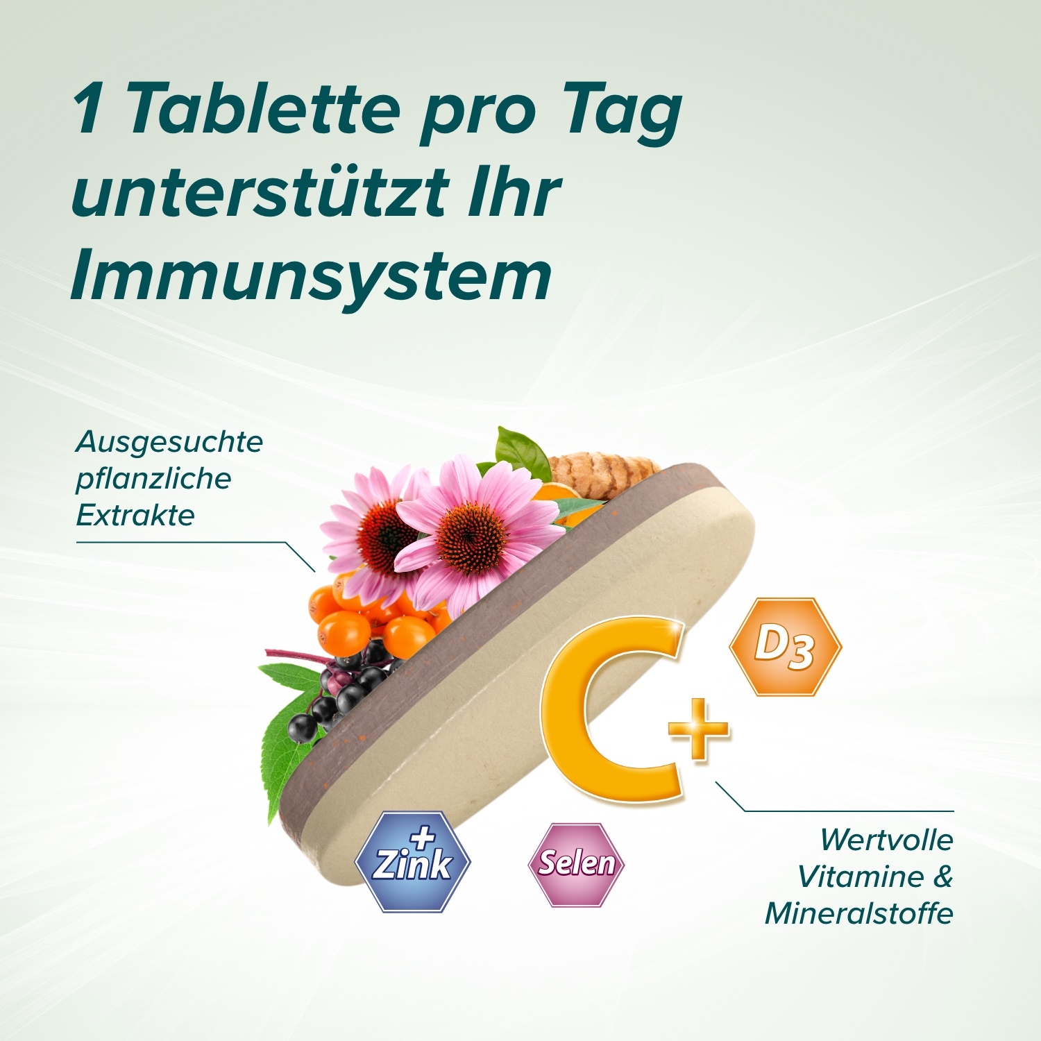 Cetebe Immun Aktiv 60 St STADA Consumer Health Deutschland bei onfy.de kaufen 17513502