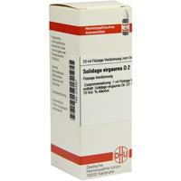 Solidago Virga D 2 null