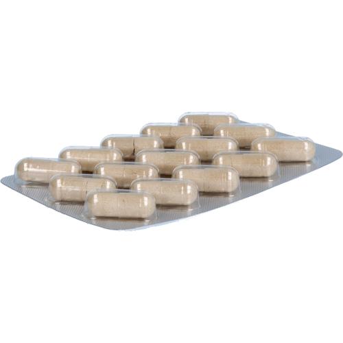 Gelencium Weihrauch Plus Hochdosiert mit Vitamin C 60 St Heilpflanzenwohl bei onfy.de kaufen 19176575