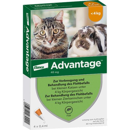 Advantage 40mg Katz+Zierka 4x0.4 ml Elanco Deutschland Gmbh bei onfy.de kaufen 09670096