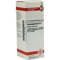 Cardiospermum D 4 null