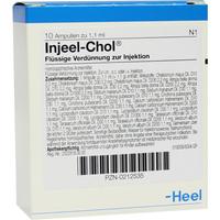 Injeel Chol null