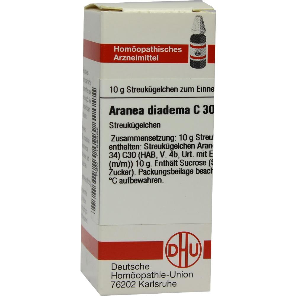 Aranea Diadema C30 null
