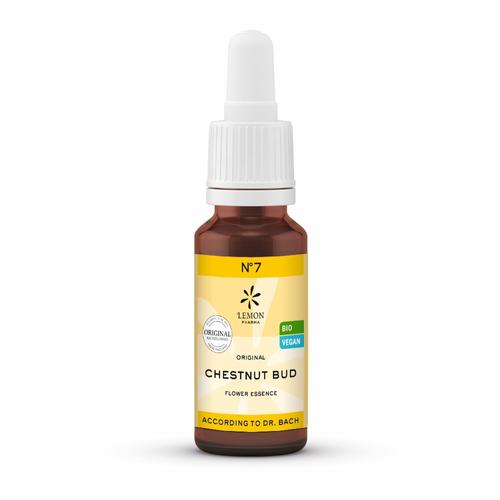 Bachbluete 7 Chest Bud Bio 20 ml Hager Pharma bei onfy.de kaufen 10310523