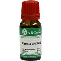 Cactus Arca Lm 18 null