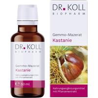 Gemmo-Mazerat Kastanie Dr. Koll Castanea Vesca null