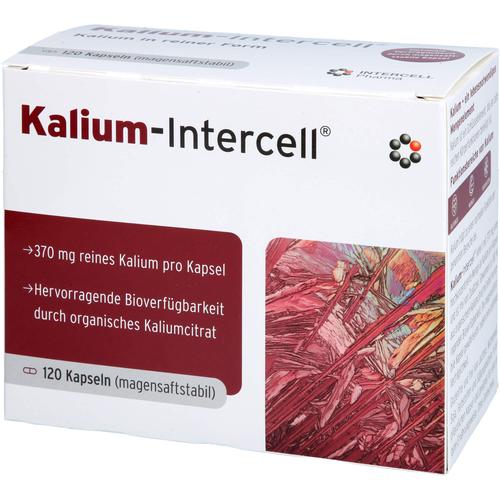 Kalium-Intercell 120 St INTERCELL-Pharma bei onfy.de kaufen 19275691