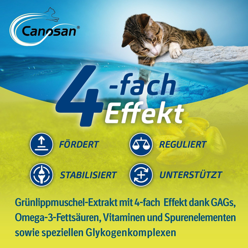 Canosan Katze Vet 30 St Boehringer Ingelheim VETMEDICA bei onfy.de kaufen 05527321