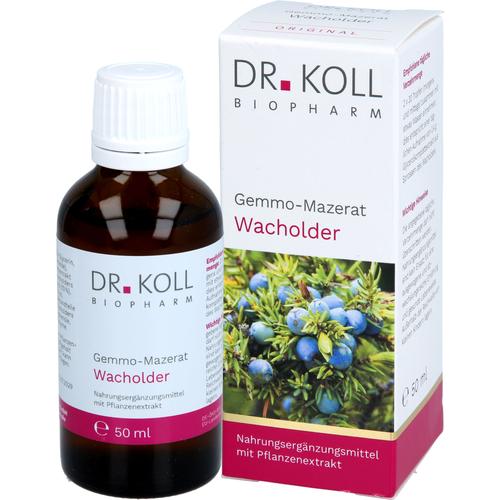 Gemmo Mazerat Wacholder Dr. Koll Juniperus Communi 50 ml Dr. Koll Biopharm bei onfy.de kaufen 20059923