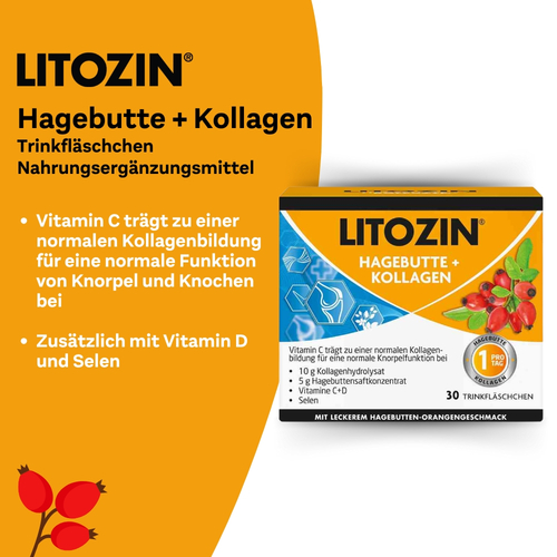Litozin Hagebutte+kollagen 30x25 ml Queisser Pharma bei onfy.de kaufen 11138061