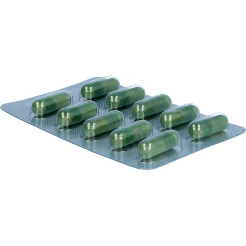 Melisse Verla Purkaps 60 St Verla-Pharm Arzneimittel bei onfy.de kaufen 19149124