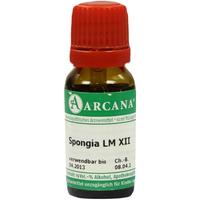 Spongia Arca Lm 12 null
