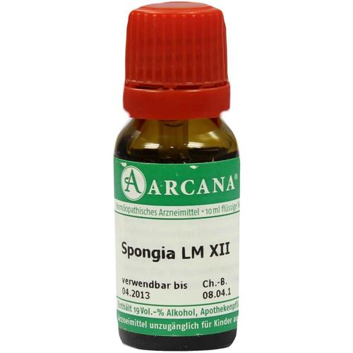 Spongia Arca Lm 12 10 ml ARCANA Dr. Sewerin bei onfy.de kaufen 02603889