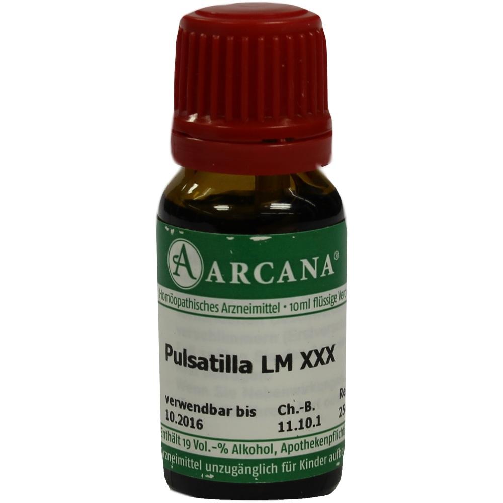 Pulsatilla Arca Lm 30 null