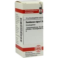 Sambucus Nigra C 6 null