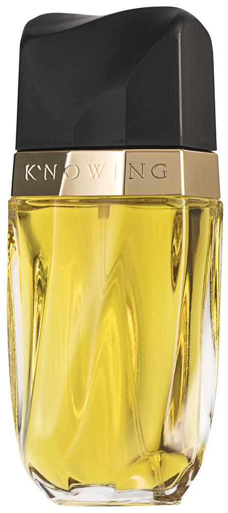 Estée Lauder Knowing Eau de Parfum 75 ml Coty bei onfy.de kaufen 0027131006534