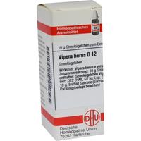 Vipera Berus D12 null