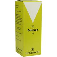 Solidago H 32 null