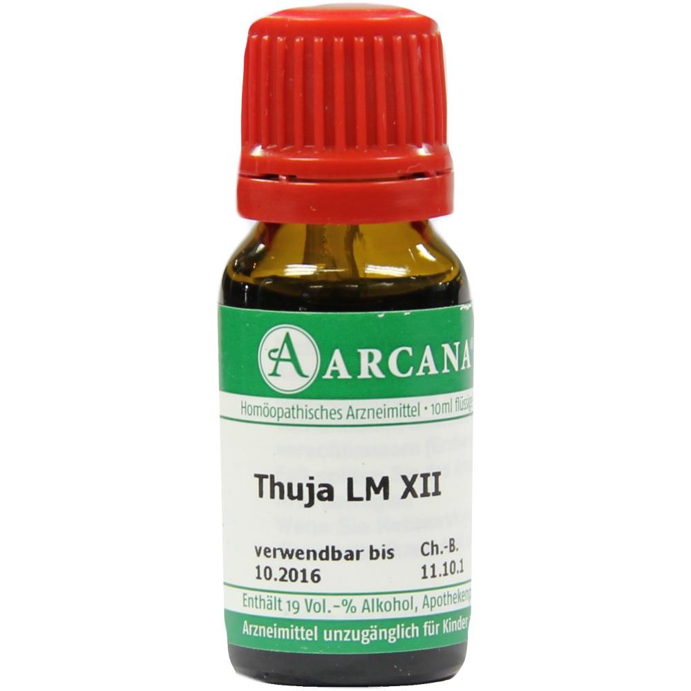 Thuja Araca Lm 12 null