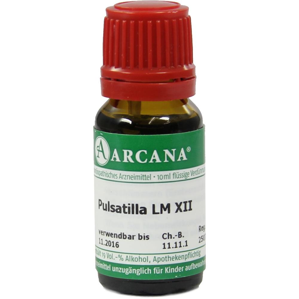 Pulsatilla Arca Lm 12 null