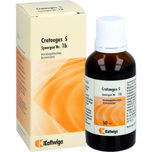 Synergon Komplex Crataegus S Nr. 1B 50 ml Kattwiga Arzneimittel bei onfy.de kaufen 19184741