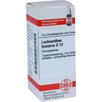 Lachnanthes Tinct D12 null