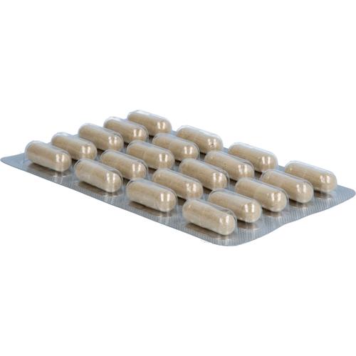 Nyrax Veno Balance Phytokomplex - Bindegewebe 120 St Heilpflanzenwohl bei onfy.de kaufen 19478572