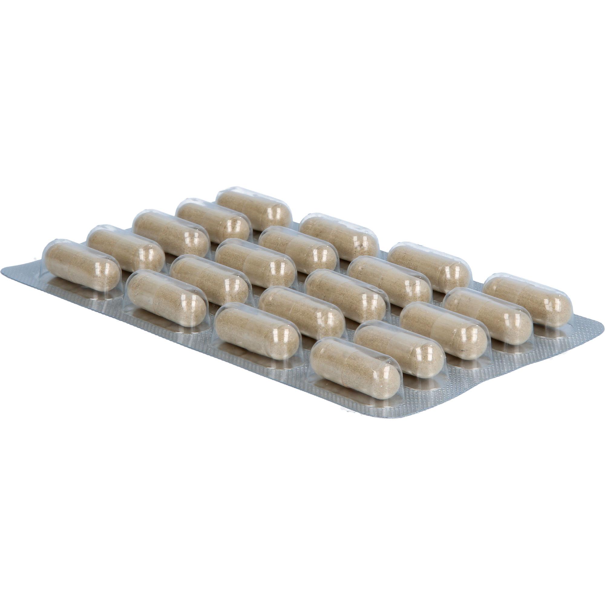 Nyrax Veno Balance Phytokomplex - Bindegewebe 120 St Heilpflanzenwohl bei onfy.de kaufen 19478572