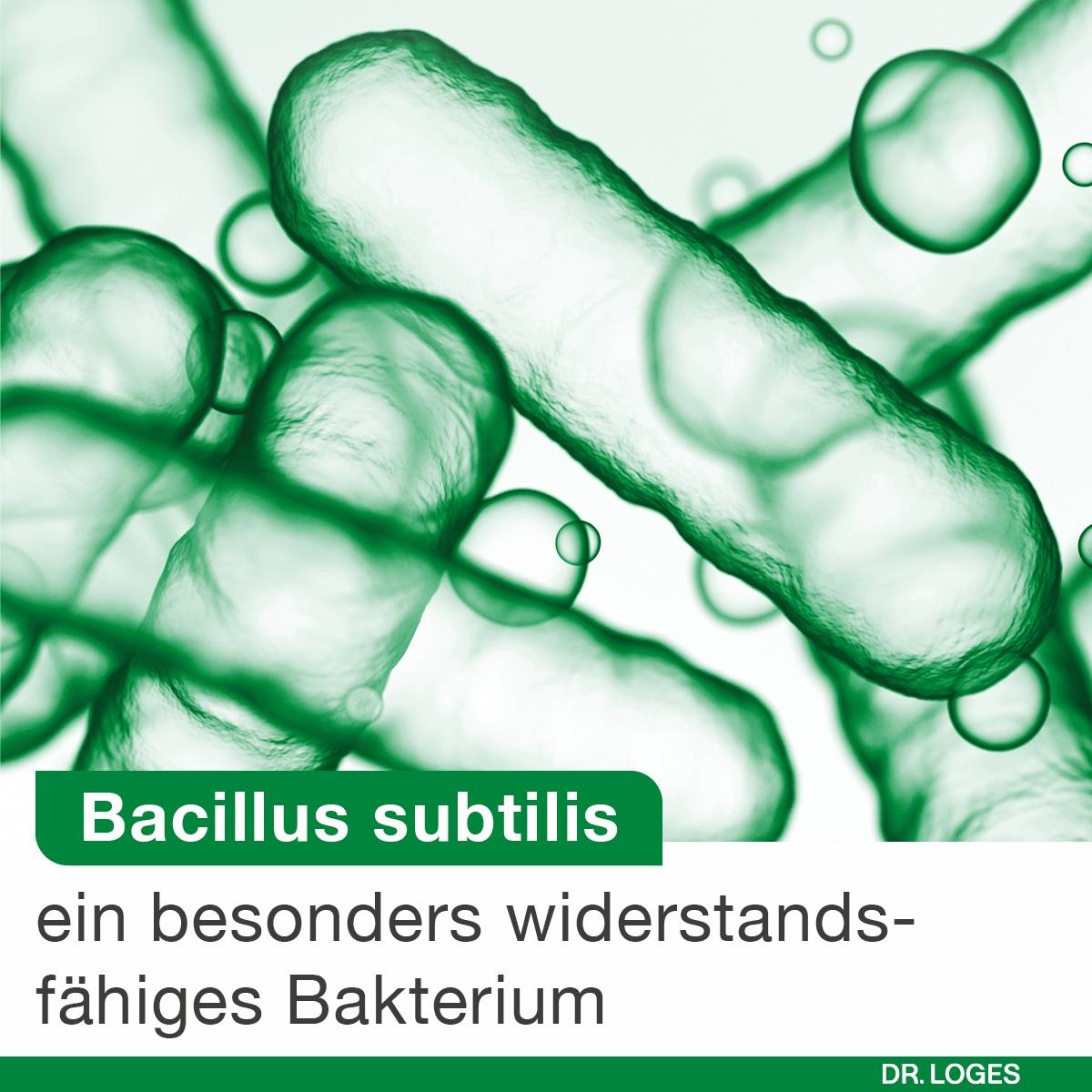 BIOTICLOGES subtilis 15 St Dr. Loges bei onfy.de kaufen 20009859