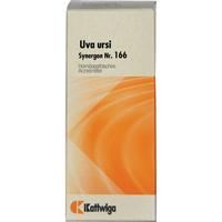 Synergon Kompl Uva Urs 166 null