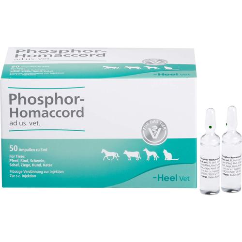 Phosphor Homaccord Vet 50 St Biologische Heilmittel Heel Gmbh bei onfy.de kaufen 02585105