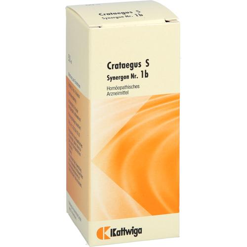 Synergon Komplex Crataegus S Nr. 1B 50 ml Kattwiga Arzneimittel bei onfy.de kaufen 19184741