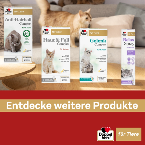 Doppelherz für Tiere Relaxspray für Katzen 90 ml Queisser Pharma bei onfy.de kaufen 18404689
