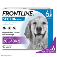 Frontline Spot On H 40 Vet null
