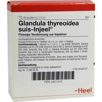 Glandula Thyr Sui Inj null
