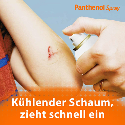 Panthenol 130 g Dr. Gerhard Mann bei onfy.de kaufen 04020784