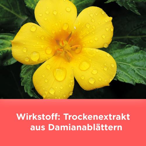 Remisens bei nachlassendem sexuellen Verlangen 90 St MEDICE Arzneimittel Pütter bei onfy.de kaufen 11867860