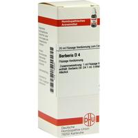 Berberis D 4 null