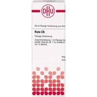 Ruta C 6 null