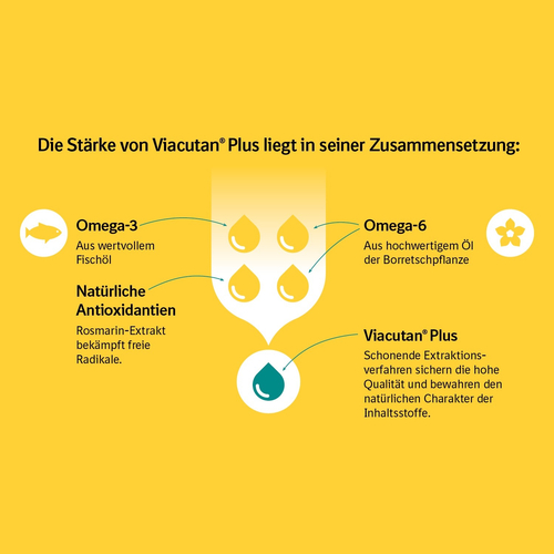 Viacutan Plus Vet 40 St Boehringer Ingelheim VETMEDICA bei onfy.de kaufen 04770261