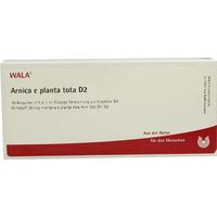 Arnica E Planta Tota D 2 null