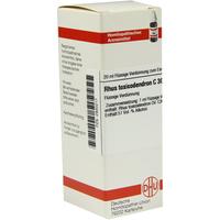 Rhus Tox C30 null
