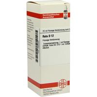 Ruta D12 null